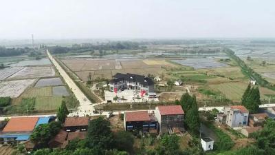 我在崔家湾的古树下等你！公安县崔家湾乡村旅游基地开园了