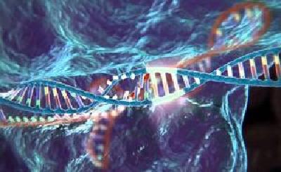 基因“魔剪”成功灭活HIV基因，有望带来根治艾滋病新疗法