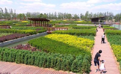 江陵县熊河镇打造生态农业园 水上栈道正加紧施工