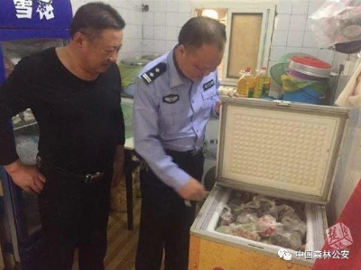 荆州暗查贩卖野生动物 一上午救千余只活体动物