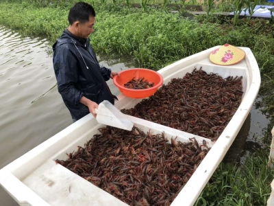 实现高质量发展 荆州打造“双水双绿”示范区