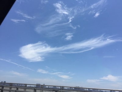 神奇！刚刚，荆州上空飞来一只“凤凰”