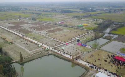 国庆去哪玩？来荆州马山参加稻田迷宫大赛吧！今年更过瘾~