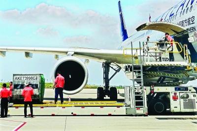 鄂产小龙虾飞迪拜“镀金”身价猛增每公斤售价735元