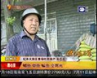 家鱼大量死亡 乡亲很着急