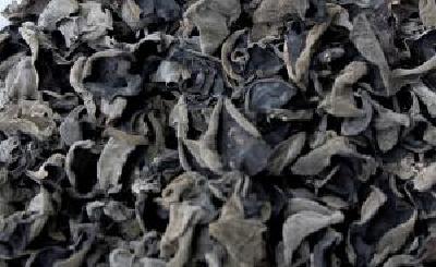 5岁男孩吃木耳后中毒死亡，媒体实测：泡发时间越长毒素越多