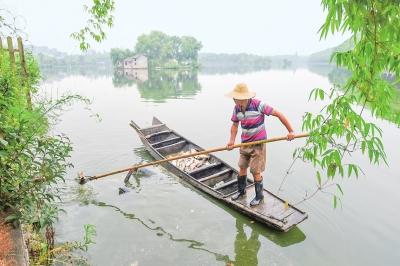 荆州古城内湖泊疏浚清淤 解决护城河水质问题