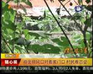 鸡舍排风口对着家门口 村民难忍受