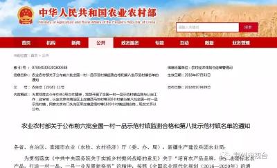 全国示范！荆州这11个村镇获国家级认可，为家乡打call！