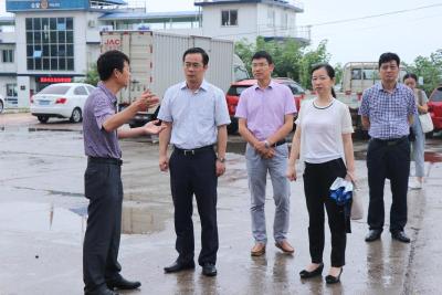 吴朝安调研沙市区文化产业项目 多措并举推动重点项目落实落地