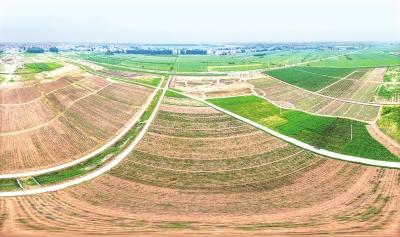占地1000余亩 荆州玫瑰园园区主体轮廓已成型