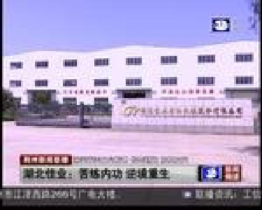 湖北佳业：苦练内功 逆境重生