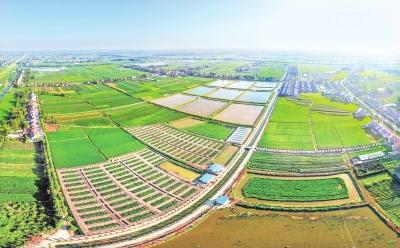 “双水双绿”模式推动荆州农业高质量发展