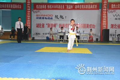 湖北省“荆楚杯”跆拳道精英赛在公安县拉开战幕