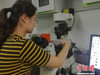 抗癌药零关税满百天：多部门力促“救命药”降价