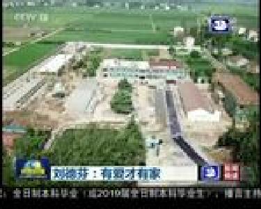 中省媒体密集聚焦刘德芬先进事迹