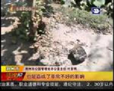 中元节祭祀 能否文明些？