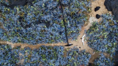 共享单车破产第一案，11万用户的押金怎么办？