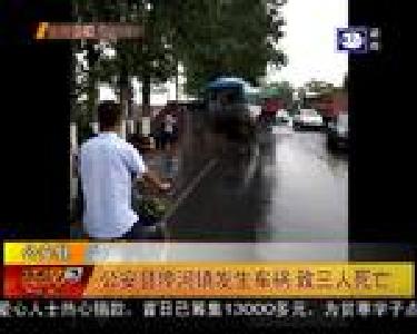 公安县埠河镇发生车祸 致三人死亡
