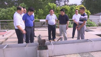 蒋鸿督办西干渠沿线“污染防治三年行动计划”项目落实情况