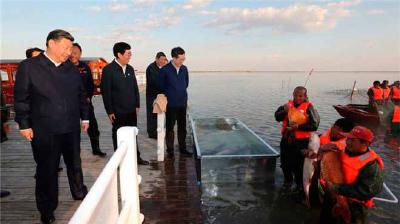 V视 | 习近平：生态保护和生态旅游发展相得益彰