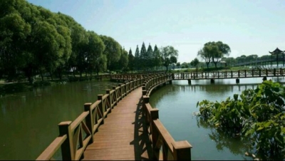 洪湖市将打造长江沿线森林生态廊道 筑牢绿色屏障