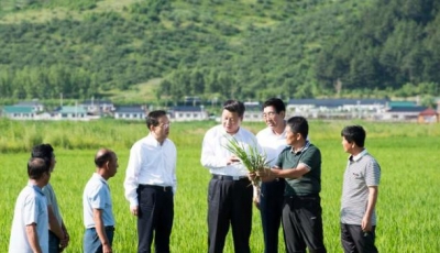 习近平向全国亿万农民祝贺中国农民丰收节