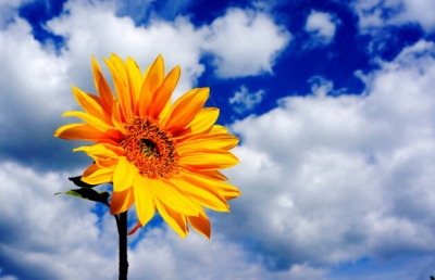 今起降水停歇荆州将迎晴好天气 气温回升至25℃