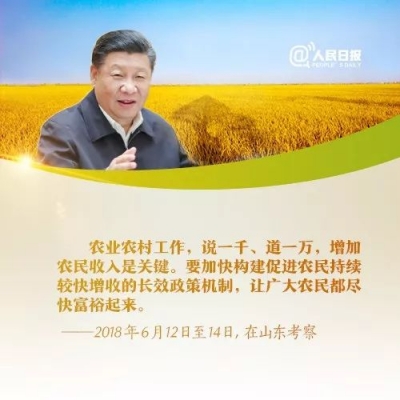 小康不小康，关键看老乡！习近平这些话说到农民心坎里了