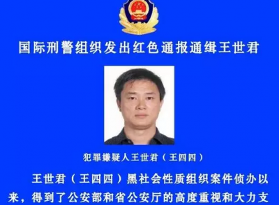 红色通缉令！国际刑警全球追捕山西涉黑头目