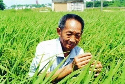 生日快乐！88岁的袁隆平这样过生日