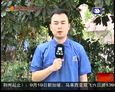 两天连续两车自燃 是何原因？