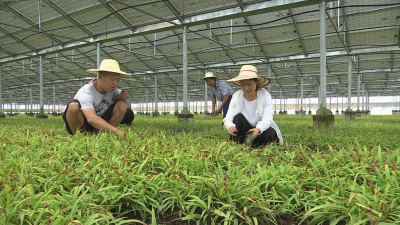 精准发力拔穷根 打造插花地区扶贫荆州样板