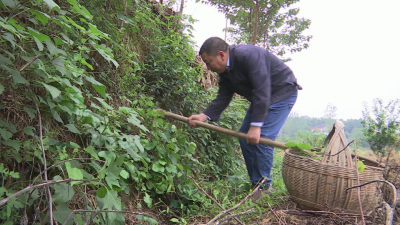 潜心研究20年   治疗风湿病他有妙招......