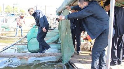 洪湖保护区集中整治渔业码头 拆除非法网箱60个