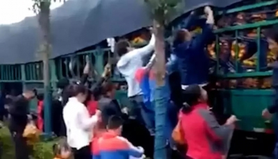 愤怒！货车追尾，车主贱卖橘子却遭哄抢，车主哭喊：别抢……