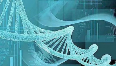 中国科学家实现哺乳动物同性生殖，打破生殖性别限制意义何在？
