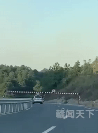 又一起悲剧！孩子把身体伸出车顶天窗 随后的一幕令人痛心……