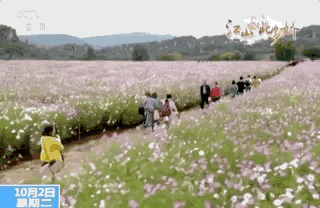 大美！江山如此多娇！