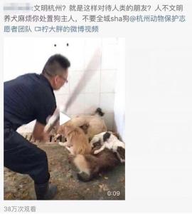 杭州城管“打狗当街棒杀”？官方回应来了！