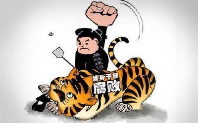 又打一虎！江苏省副省长缪瑞林被查