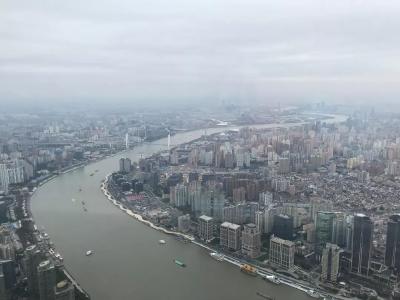 除了中国第一高楼，习近平考察上海还去了哪儿？