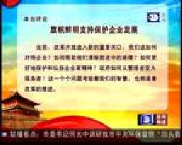 旗帜鲜明支持保护企业发展
