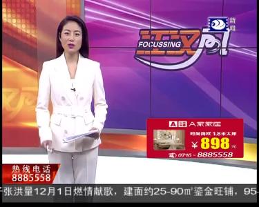 “满城尽带黄金甲” 荆州的初冬到了最美的时候!