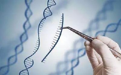 学术界密集回应基因编辑婴儿：坚决反对 强烈谴责！