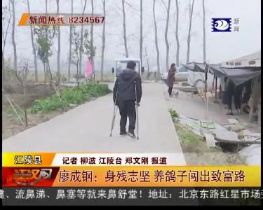 廖成钢：身残志坚 养鸽子闯出致富路