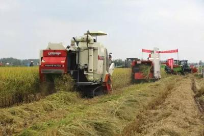 公安县主要农作物生产全程机械化成国家示范！