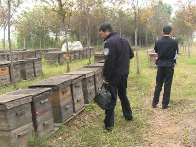 路边蜂箱被盗，荆州民警千里追贼挽损失......