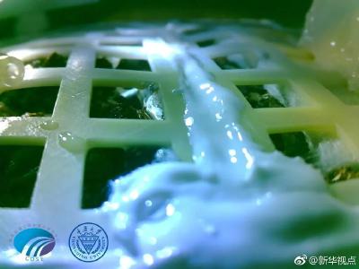 嫦娥四号：棉花种子在月球上发了芽！