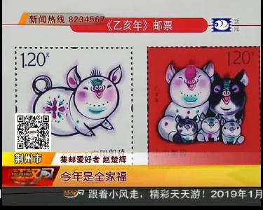 猪年生肖邮票发行 完整体现全家福